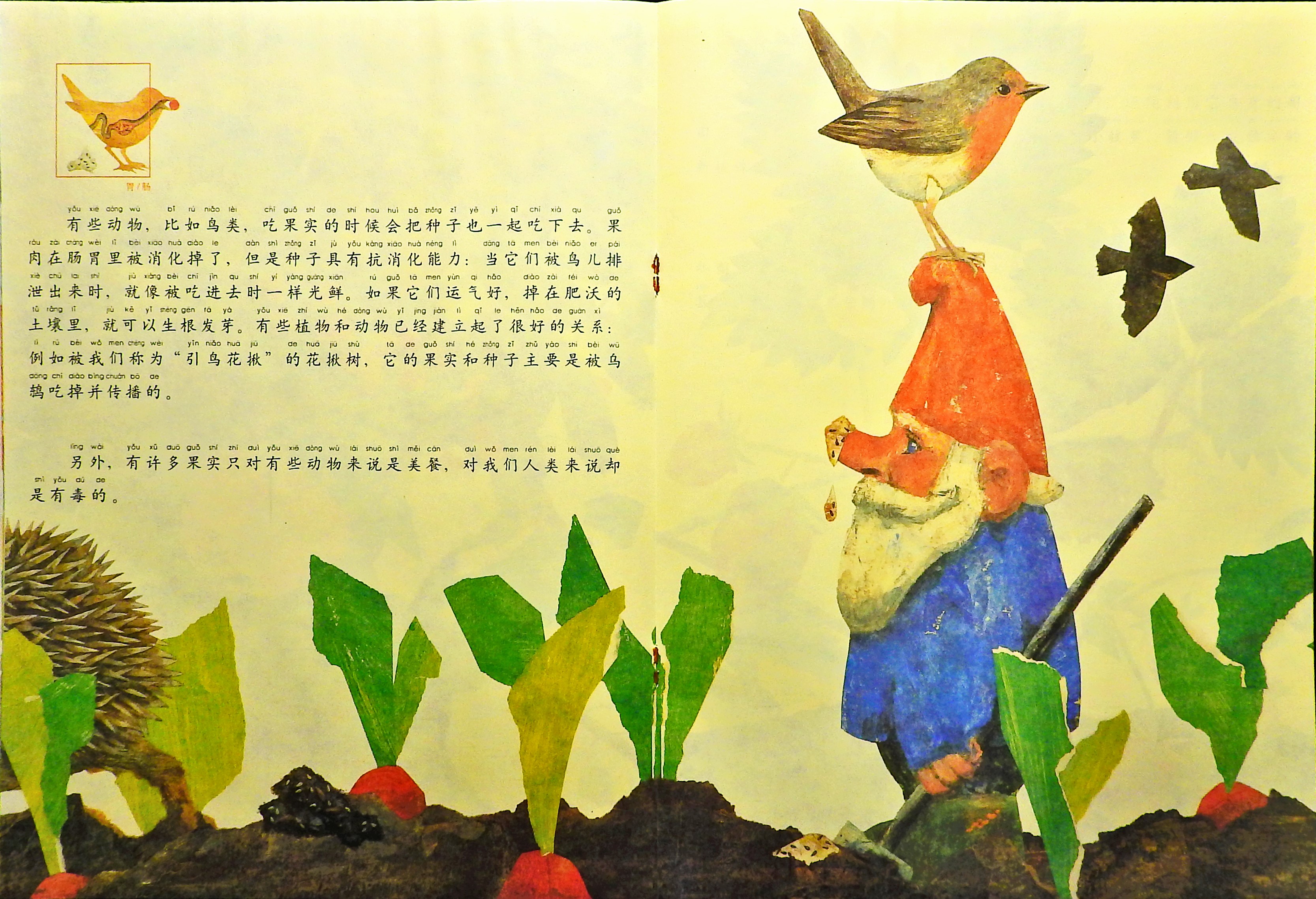 一粒种子的旅行 (10),绘本,绘本故事,绘本阅读,故事书,童书,图画书,课外阅读